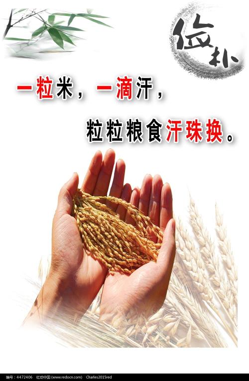 埼玉大学学士毕业证
